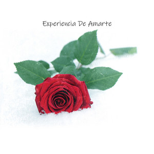 Experiencia De Amarte by Tesquinamusicc