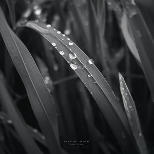Fog Flow by Nico Ono
