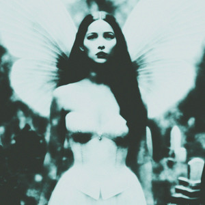 By Order of the British Vampire by Flowers For Juno