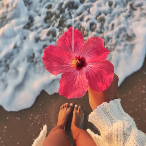Eres pica flor by Alane Teisha