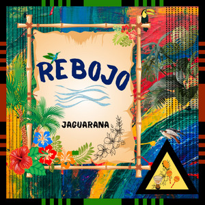 Portada de Doce Bailado