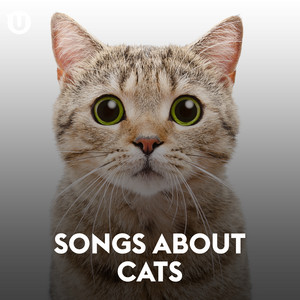 Portada de Purr