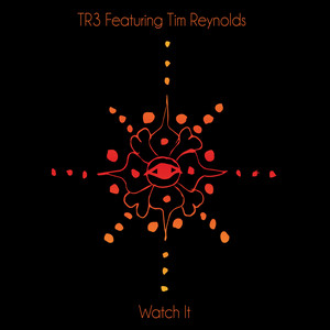 All By Design by TR3 featuring Tim Reynolds