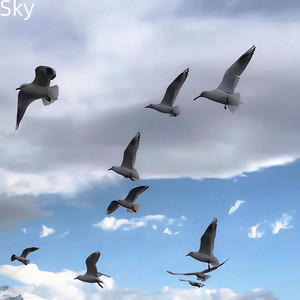 Sky by 刘子瑞