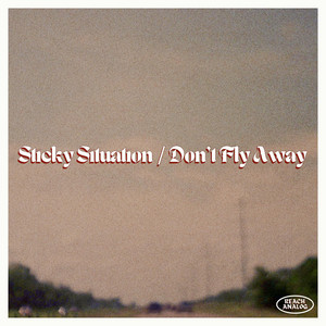 Don't Fly Away by Brandon E, Nick Wilkins, Chloe Moser, Trent Toth