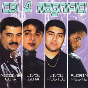 Nicolae Guță - Viata Grea