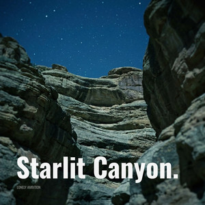 Starlit Canyon by Lonely Ambition