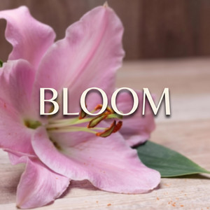 Bloom by IM CHANTI