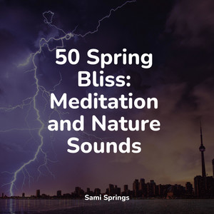 50 Spring Bliss: Meditation and Nature Sounds album