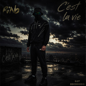 C'est la vie by Rino