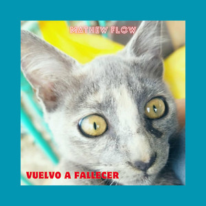 VUELVO A FALLECER by MATHEW FLOW