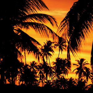 Spunj & Nomsa - Phelile