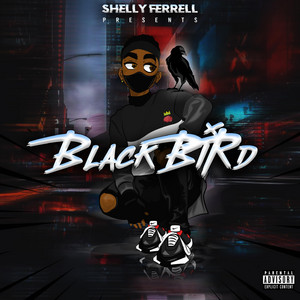 Portada de Black Bird