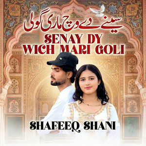 Shafeeq Shani - Senay Dy Wich Mari Goli