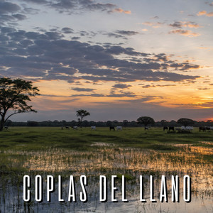 Voces de la Sabana by Maykel El Coplero Mayor