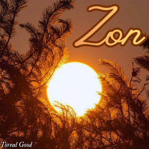 Zon by Toreal good