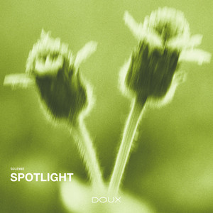 Spotlight by Solenne
