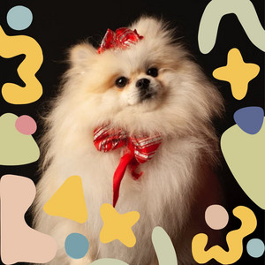 Happening Backdrop for Resting Pets album