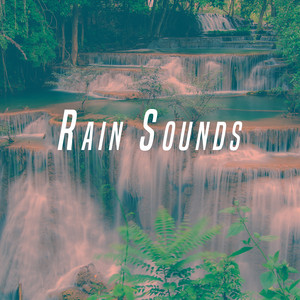 River Rain : Dream by Sleep Sound Library