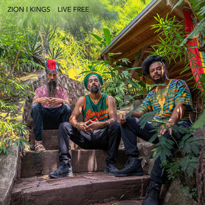 Grow Food by Zion I Kings