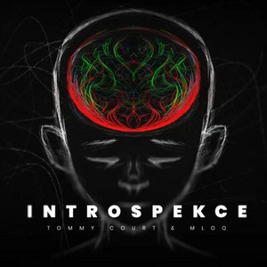 Introspekce by Tommy Court, mloq