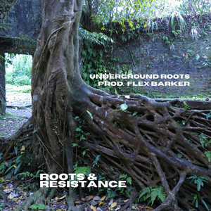 Chant Down The Fraud by Flex Barker, UNDERGROUND ROOTS