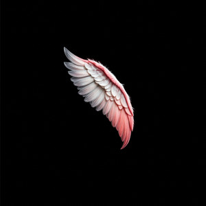 Angels by Journaux