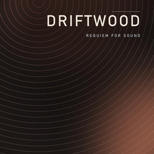 Driftwood by Requiem For Sound