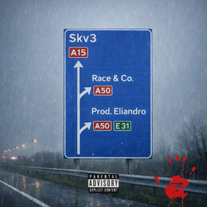 Race & Co by Skv3