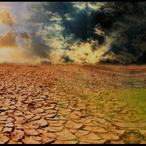 Vinicius Milanez - Terra Seca