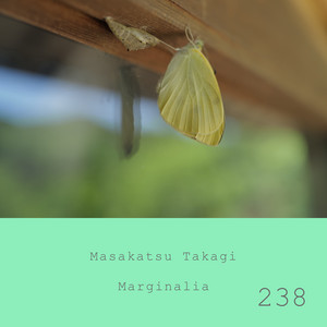 Marginalia #238 by Masakatsu Takagi