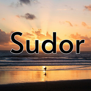 Sudor by Mañe