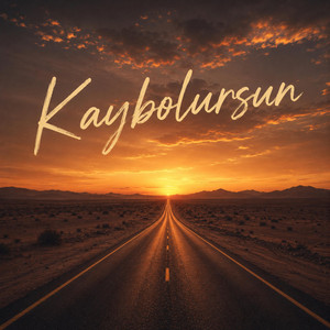 Kaybolursun by Ferit Sönmez