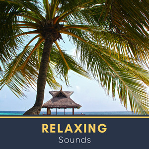 # 1 Album: Relaxing Sounds album