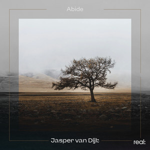 Abide by Jasper van Dijk