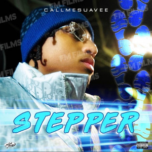 Suavee Bands - Stepper
