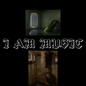 ЛНВ - Полено