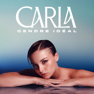 Gendre idéal