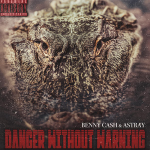 Danger Without Warning by Benny Cash, Astray