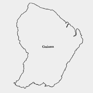 Iguana (Borokov Borokov's take)
