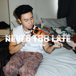 Never Too Late by Sam Lin