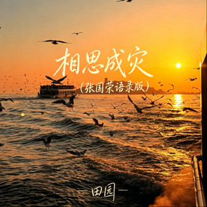 相思成灾 - 张国荣语录版 by 田园
