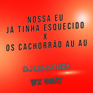 Dj Luh Souza & WZ Beat - Nossa Eu Já Tinha Esquecido X os Cachorrão Au Au