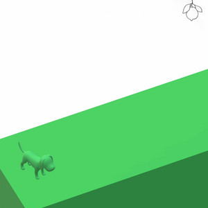 Soft K - Chicken Feed