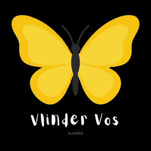 Talk On - Slowed by Vlinder Vos