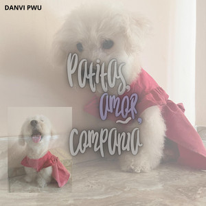 patitas amor compañia by HANYE FOZT