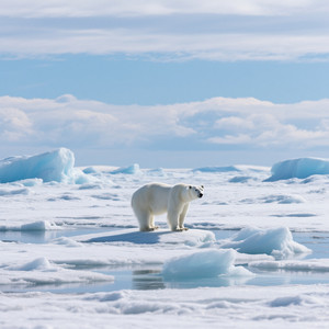 Natalie Ballesteros - Beautiful girls friends