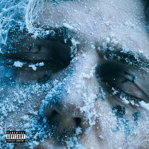 TINTED WINDOWS by P T K