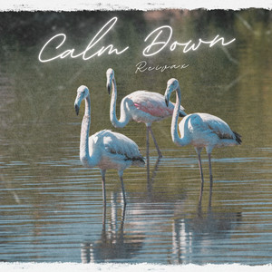Calm Down - Radio Edit by Reivax