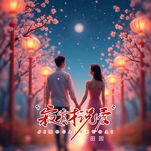 Yuan Tian - 寂寞才说爱 (DJLHN版)